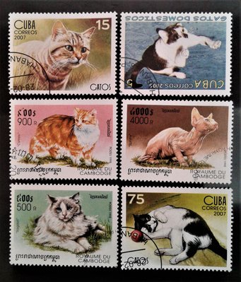 P10154 / 喵星人-世界名貓 / 貓 / CATS-World famous cat