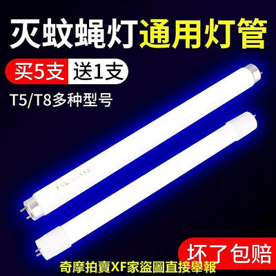 燈燈管滅蠅燈管T5-6W8W T8-10w15W藍紫光誘燈管LED光管