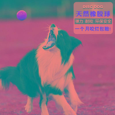 狗球耐咬實心彈力橡膠中大型犬金毛拉布拉多邊牧寵物訓練彈球-西瓜鈣奶