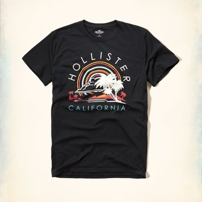 美國百分百【Hollister Co.】T恤 HCO 短袖 T-shirt 海鷗 logo 復古 黑色 L號 G920