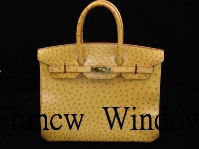 France Window 愛瑪仕柏金包hermes birkin 35 鴕鳥皮 金色