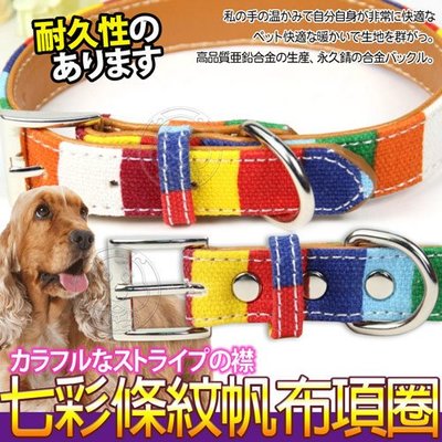 【🐱🐶培菓寵物48H出貨🐰🐹】dyy》七彩條紋寵物帆布項圈XL號3*70cm大型犬專用 特價139元