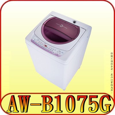 《三禾影》TOSHIBA 東芝 AW-B1075G 單槽洗衣機 10公斤【另有NA-90EB】