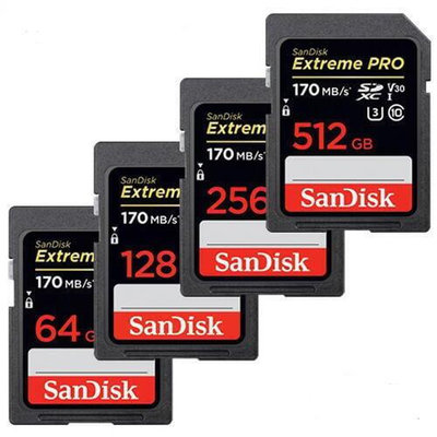 【現貨】SanDisk 256G 128G 64G 32G Extreme PRO 170MBs SDXC SDHC 記