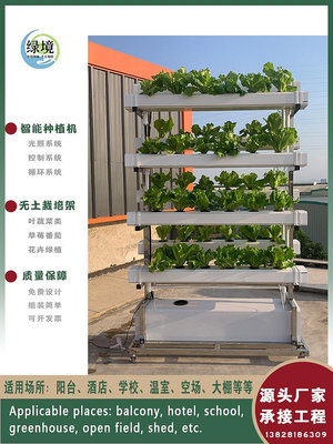 風吹半夏NFT無土栽培蔬菜草莓種植雙面垂直架水培設備陽臺水耕多層種菜機