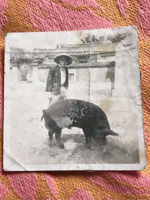 1930-40年代，日據台灣時期的三合院及牽豬哥去交配，古董原版老照片，6x5.7公分，保真