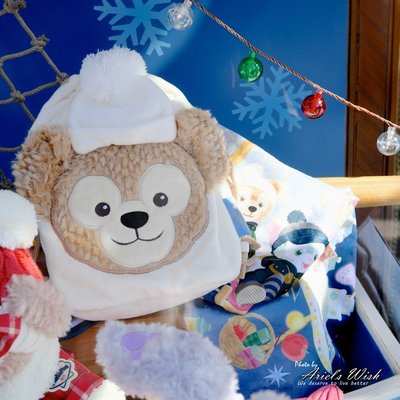 ArielWish日本東京迪士尼聖誕節達菲熊Duffy雪莉玫傑拉東尼Stella史黛拉兔兔毛毯冷氣毯蓋毯附束口收納袋絕版