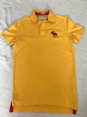 Abercrombie and Fitch A&amp;F 男生黃色M號 polo衫 全新正品 重磅厚棉款