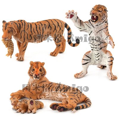 阿米格Amigo│一套3款 老虎 Tiger 仿真動物模型 科教 教學 公仔 擺設 玩具 兒童 幼兒 禮物