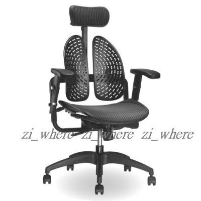 【zi_where】*安能背克~SoHo Back舒活/樂活新型調整式網背雙臂透氣人體工學椅雙背電腦椅$10400