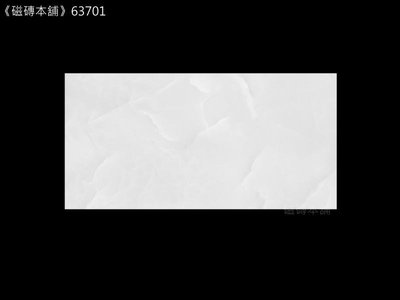 《磁磚本舖》新品促銷 全釉拋 灰石紋 63701 30*60cm 亮面 浴室 地壁可用