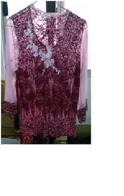 紫色網狀長袖上衣，領口右邊粉色刺繡花朵，領口有蕾絲有彈性，兩邊是透明袖子。(N49)