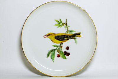 德國古董瓷器 麥森(Meissen) 手繪 金黃鸝 Golden Oriole 鳥盤