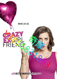 DVD 專賣店 瘋狂前女友第一季/Crazy Ex-Girlfriend Season 1