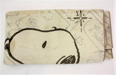史努比+糊塗塌克漫畫地毯(180*180cm) 地墊 星光 漫畫故事 查理布朗 莎莉 露西 J00040035