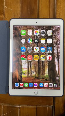 Apple iPad Pro 9.7” 香檳金 WiFi 128G