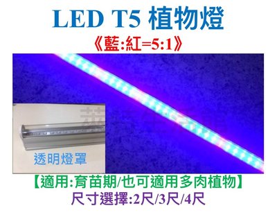 《萊特生活館》LED植物燈 【T5 2尺】 【 藍(450m):紅(660nm)=5:1】燈座/燈管/軌道燈/投射