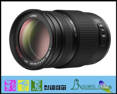 彩色鳥 (鏡頭出租 相機出租) Panasonic Lumix G Vario 100-300mm f4.0-5.6