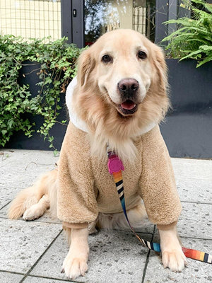 大狗狗衣服中型大型犬加厚金毛柴犬拉布拉多冬季薩摩耶邊牧秋冬裝-西瓜鈣奶