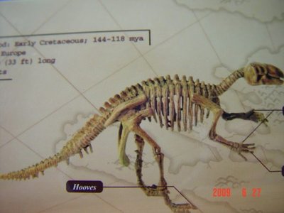 變形金剛**侏儸紀恐龍骨.標本.模型寶盒 禽龍 Iguanodon(恐龍王者)