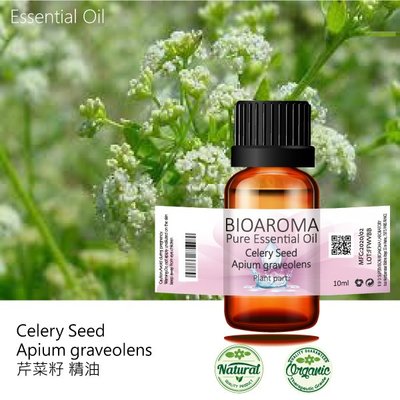 【芳香療網】Celery Seed - Apium graveolens 芹菜籽精油 100ml