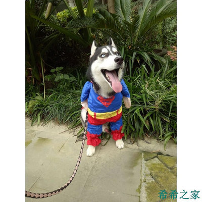 熱賣 狗狗超人裝 貓咪超人衣服 變裝服 披風變身裝 泰迪衣服 超人變身裝 服飾 狗衣服 狗狗 新品 促銷