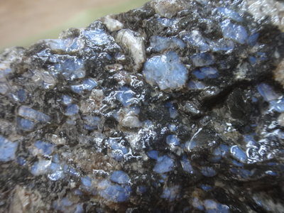 《藍晶寶石玉石特賣→〈原石系列→天然閃光貝殼化石原礦〈2250公克→C50