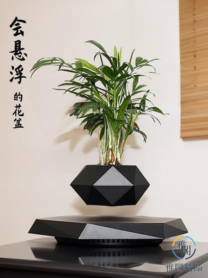 反重力磁懸浮花盆高檔盆栽綠植辦公室桌裝飾盆景輕奢創意擺件.
