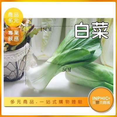 INPHIC-白菜模型 小白菜 大白菜 炒白菜 滷白菜-IMFP007104B
