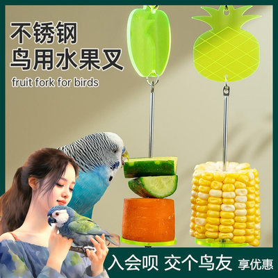 酷克寵物鸚鵡水果叉掛鉤鳥用不銹鋼蔬菜叉玉米掛鉤鳥籠配件用品