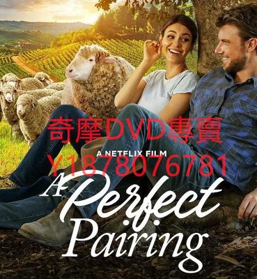 DVD 2022年 完美絕配/A Perfect Pairing 電影