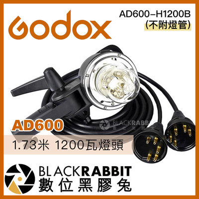 數位黑膠兔【 Godox 神牛 AD600-H1200B 1.73米 1200瓦燈頭 (不附燈管) 】 延長線 雙燈