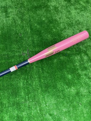棒球世界 全新SSK新款重量輕楓木壘球棒SBM043S-34特價棒型G2粉紅丈青金標配色