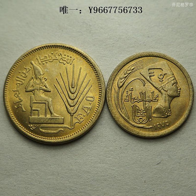銀幣埃及1976年5/10米利姆含fao糧農組織紀念幣銅幣 22A665
