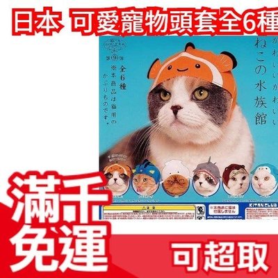 【水族貓咪】日本 可愛寵物頭套 整套6種 扭蛋轉蛋 喵星人毛小孩狗犬兔 娃娃造型裝飾帽 療癒交換禮物 ❤JP Plus+