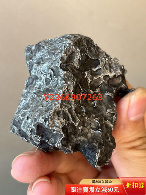 Seymchan隨城橄欖隕石橄欖隕石石鐵隕石隕石 文玩 隕石 收藏【民國文玩】-2494