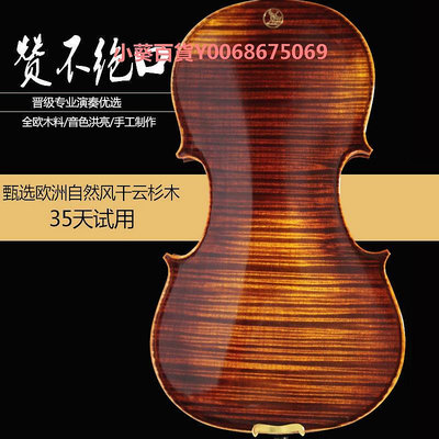 臺氏20年自然風干純手工成人小提琴獨板進口歐料演奏小提琴獨奏級