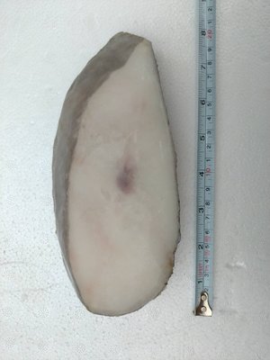 北大西洋鱈魚片(無肚洞)
