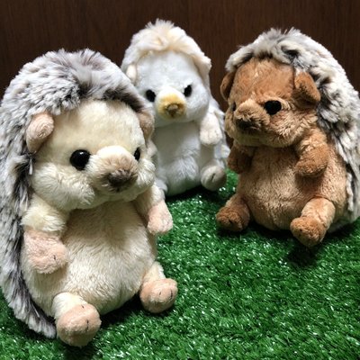 【誠誠小舖】日本進口 正版 動物 SUNLEMON 刺蝟 擬真 可愛 絨毛 玩偶 娃娃 基本 褐棕色 白色 S尺寸