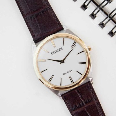 【時光鐘錶公司】CITIZEN 星辰 錶 AR3074-03A Eco-Drive 光動能紳士薄型手錶