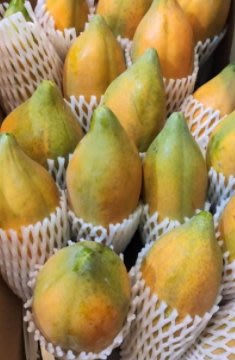 台農2號木瓜 安全健康好香甜的木瓜自產自銷20斤