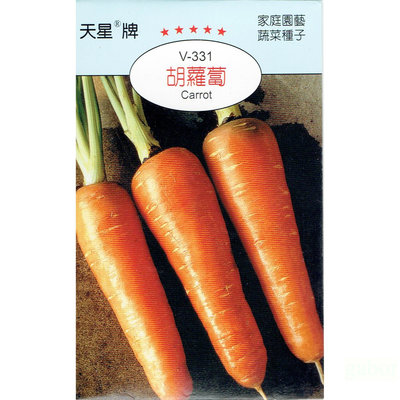 種子王國 胡蘿蔔 紅蘿蔔  【蔬果種子】 天星牌 彩色包裝 原包裝種子 家庭園藝 小包裝種子