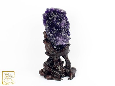 集中念力-紫水晶花(根雕底座)  重:762g【吉祥水晶專賣店】編號AJ72