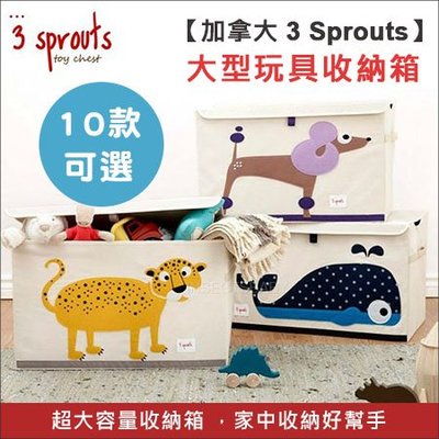 ✿蟲寶寶✿【加拿大 3 Sprouts】大型 玩具收納箱 置物籃 大容量好收納 多款可選