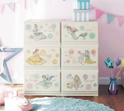 Mei 本舖☼預購 日本 迪士尼 Disney 公主系列 組合收納櫃 衣櫃 玩具櫃 6盒售 收納