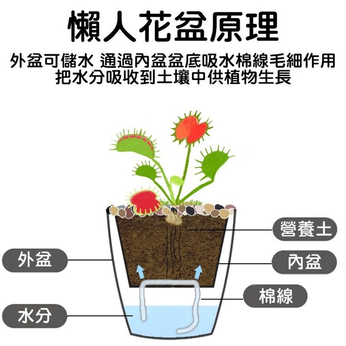 【珍愛頌】N130 懶人花盆 XS號 可視水位 自動澆水吸水 自動吸水花盆 自動澆水花盆 免澆水 棉繩吸水花盆 室內盆栽