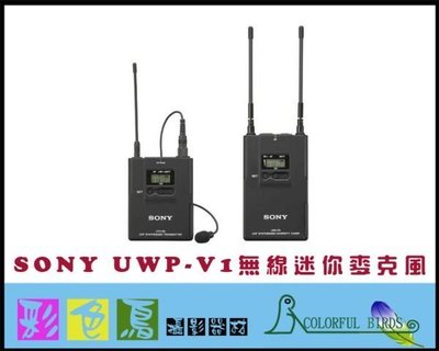 彩色鳥 (租麥克風 小蜜蜂出租 二手出清 ) SONY UWP-D11 無線迷你麥克風 mini mic H6