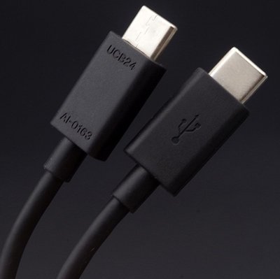 Sony 雙Type-C(USB-C) USB3.1高速充電傳輸線 快充線 原廠充電線 (UCB24.裸裝)