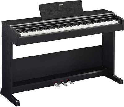 YAMAHA YDP-105 數位鋼琴 電鋼琴 88鍵鋼琴 鋼琴 原廠公司貨 全新