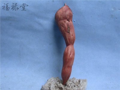樹瘤茶寵瓜水果形血龍果木雕根雕五行補木手把件邊角料2109